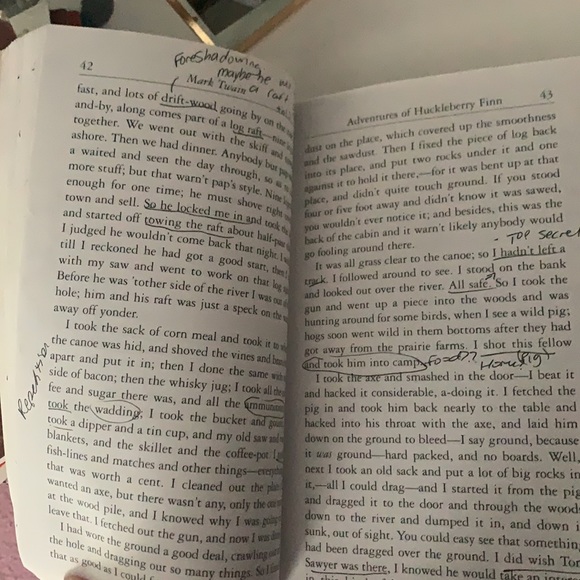 Adventures of huckleberry finn - Picture 2 of 4